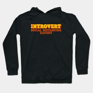 INTROVERT SOCIAL DISTANCING EXPERT FUNNY Hoodie